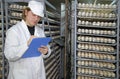 Chicken eggs in incubator