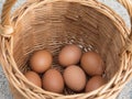 Chicken eggs just collected from the laying nest in the chicken coop, close up Royalty Free Stock Photo