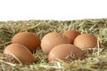 Chicken eggs laying on a bed of hay straw Royalty Free Stock Photo