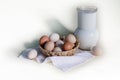 Chicken eggs and milk on a white background . Royalty Free Stock Photo