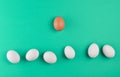 Chicken eggs on a mint green pastel background, concept of uniqueness, minimalism, creative easter background. Royalty Free Stock Photo