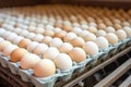 Chicken eggs move along a conveyor in a poultry farm. Food industry concept, chicken egg production