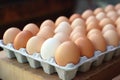 Chicken eggs move along a conveyor in a poultry farm. Food industry concept, chicken egg production