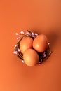Chicken eggs in a nest on a beige background. Minimalistic Easter concert Royalty Free Stock Photo