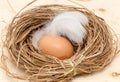 Chicken eggs in a nest with feather Royalty Free Stock Photo