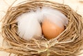 Chicken eggs in a nest with feather Royalty Free Stock Photo