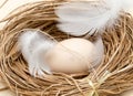 Chicken eggs in a nest with feather Royalty Free Stock Photo