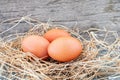 Chicken eggs on the nest placed on the old wooden floor Royalty Free Stock Photo