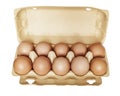 Chicken eggs in open carton box. Hen healthy eating. Isolated. png transparent Royalty Free Stock Photo