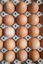 Chicken eggs in the pack with shallow depth of field from top vi