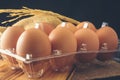 Chicken eggs are packed in nutritious foods
