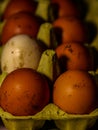 The chicken eggs in the panel are placed on a brown wooden background.