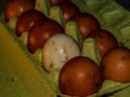 The chicken eggs in the panel are placed on a brown wooden background.