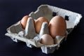 Four diferent chicken eggs in paper box on dark background. Four egg sizes. Small, medium, larger and large Royalty Free Stock Photo