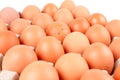 Chicken Eggs In paper container tray box. Royalty Free Stock Photo