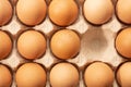 Chicken eggs in paper egg tray. Royalty Free Stock Photo