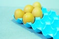 5 chicken eggs placed on a blue tray