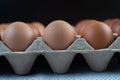 Chicken eggs placed on an egg tray. Close-up Royalty Free Stock Photo
