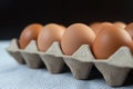 Chicken eggs placed on an egg tray. Close-up Royalty Free Stock Photo