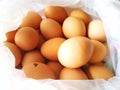 Chicken eggs in plastic bags