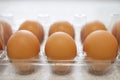 Chicken eggs in plastic box close-up. Royalty Free Stock Photo