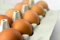 Chicken eggs Royalty Free Stock Photo