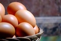 Chicken eggs are a raw material for cooking that is easy to find,easy to cook but now the price is getting more expensive