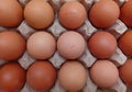 Chicken eggs are ready to be cooked Royalty Free Stock Photo