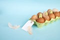 Chicken eggs in recycled paper tray with price tag label. Set of eggs with tag and bird feather Royalty Free Stock Photo