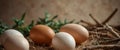 Chicken eggs on the right side of a soft-colored background, surrounded by natural decorations. Royalty Free Stock Photo
