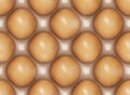 Chicken Eggs row pattern background Royalty Free Stock Photo