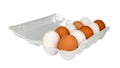 Chicken eggs in styrofoam pack Royalty Free Stock Photo
