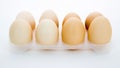 eggs in a tray on a white background Royalty Free Stock Photo