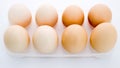 top view of chicken eggs in a tray on a white background Royalty Free Stock Photo
