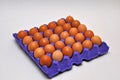 Tray of chicken eggs on a seamless background Royalty Free Stock Photo