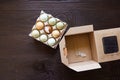 Chicken eggs in tray on wooden table. Nine eggs Royalty Free Stock Photo