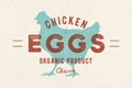 Chicken Eggs. Vintage hand drawn logo Royalty Free Stock Photo