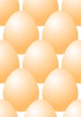 Chicken eggs white Seamless pattern on background Royalty Free Stock Photo