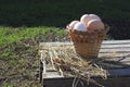 chicken eggs in a wicker basket on a wooden background with a white napkin beside, healthy ecological food, farming