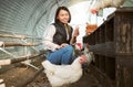 Chicken eggs, woman and farmer check barn for agriculture inspection, quality control or eco bird production. Poultry