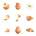 Chicken eggshell icon set, cartoon style Royalty Free Stock Photo