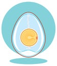 chicken embryo. egg. Royalty Free Stock Photo