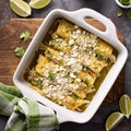 Chicken enchiladas in a casserole dish Royalty Free Stock Photo