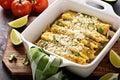 Chicken enchiladas in a casserole dish Royalty Free Stock Photo