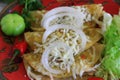 Chicken Enchiladas with green sauce Royalty Free Stock Photo