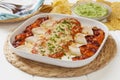 Chicken Enchiladas Royalty Free Stock Photo