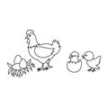 Chicken family drawing picture isolated on white background