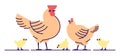 Chicken family flat vector illustration. Isolated orange rooster, hen and yellow cute chicks. Hennery, poultry farm