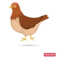 Chicken farm bird color flat icon