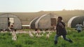 Chicken, farm and children on field, running and energy with sustainable business in agriculture with livestock. Nature Royalty Free Stock Photo